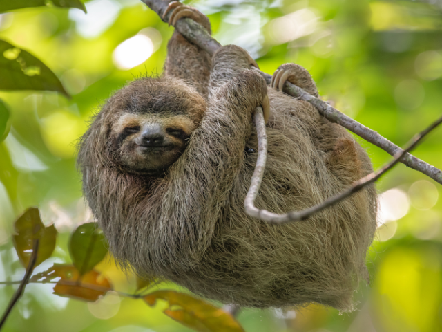 9. costa rica 3